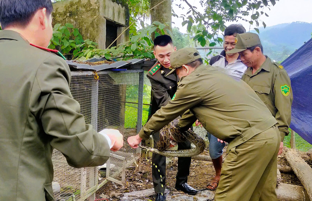 Hai con vật qúy hiếm được giao nộp cho Công an tại thanh hóa - Ảnh 1.