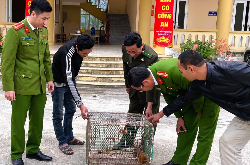 Hai con vật qúy hiếm được giao nộp cho Công an tại thanh hóa - Ảnh 2.