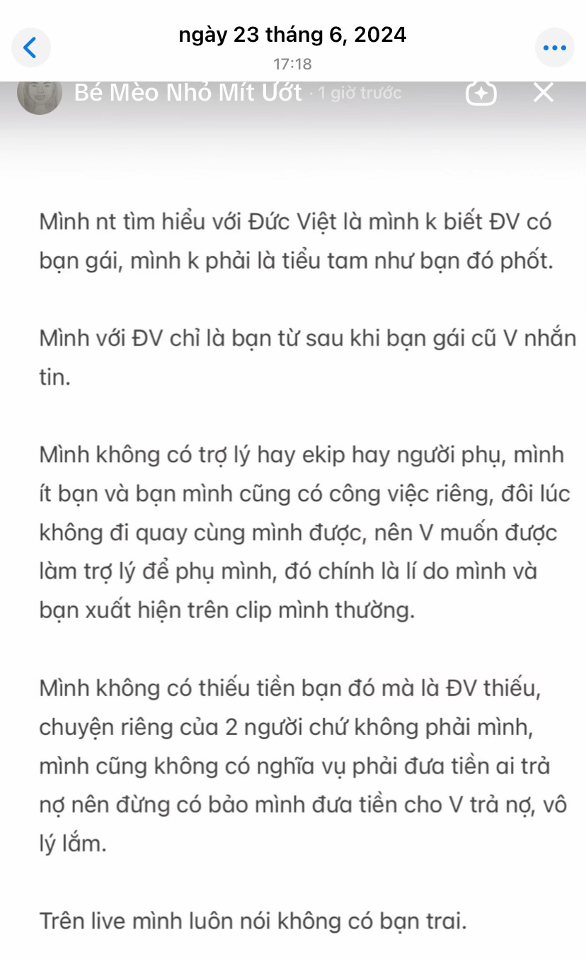 Năm thanh lọc 2025 qu&aacute; đ&aacute;ng sợ: 31/12 vẫn c&oacute; một TikToker triệu fan bị phốt đ&aacute; đổ danh tiếng- Ảnh 5.