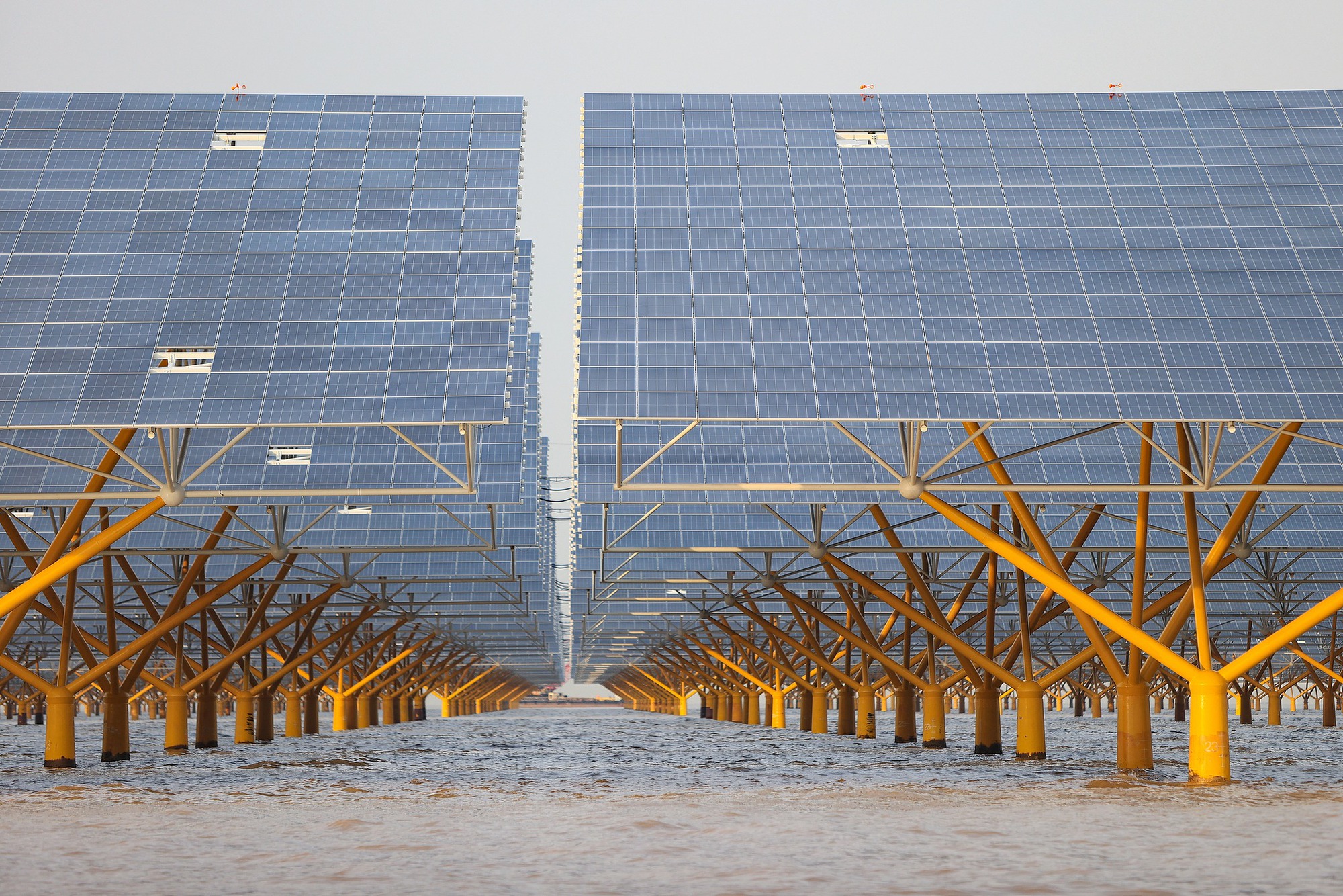 Chưa từng c&oacute; tr&ecirc;n thế giới: Trung Quốc dựng h&agrave;ng cọc th&eacute;p khổng lồ trải rộng 1.200ha giữa biển, tạo đủ điện cho 2,6 triệu người, tiết kiệm hơn nửa triệu tấn than mỗi năm - Ảnh 3.