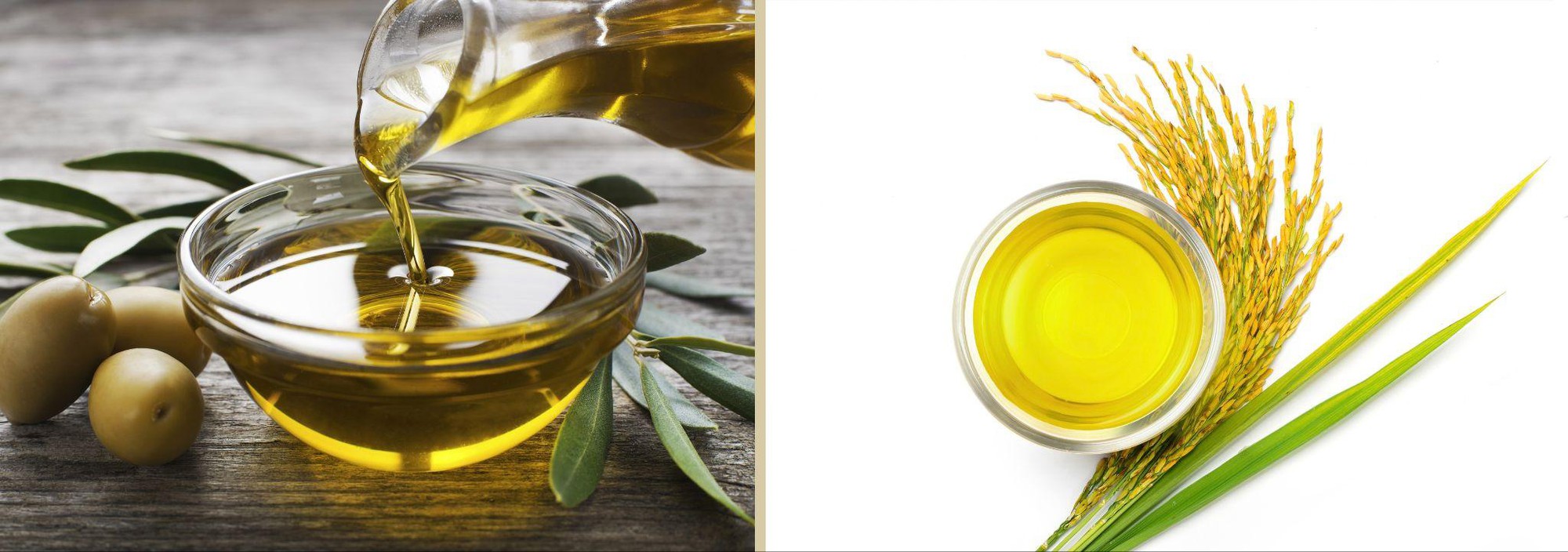 Với c&ocirc;ng thức kết hợp dầu &ocirc;-liu nguy&ecirc;n chất v&agrave; dầu gạo lứt, loại dầu mới n&agrave;y gi&uacute;p n&acirc;ng tầm gian bếp - Ảnh 1.