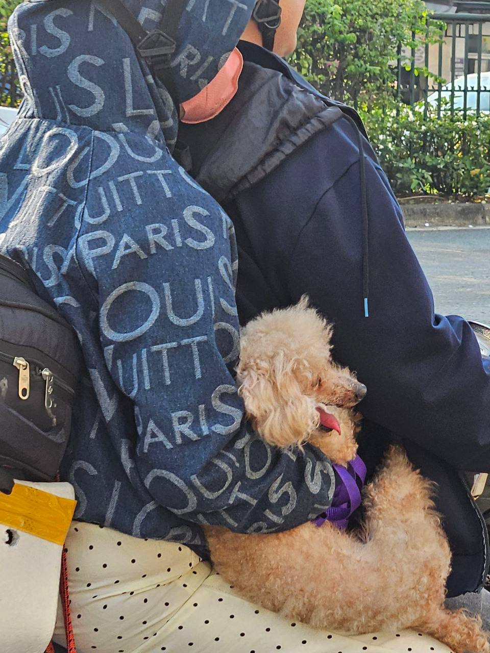 Bộ phim "VỀ QUÊ" chính thức được công chiếu: Toàn cảnh đường phố vào ngày cuối cùng của năm 2025- Ảnh 26. Bộ phim "VỀ QUÊ" chính thức được công chiếu: Toàn cảnh đường phố vào ngày cuối cùng của năm 2025- Ảnh 26.