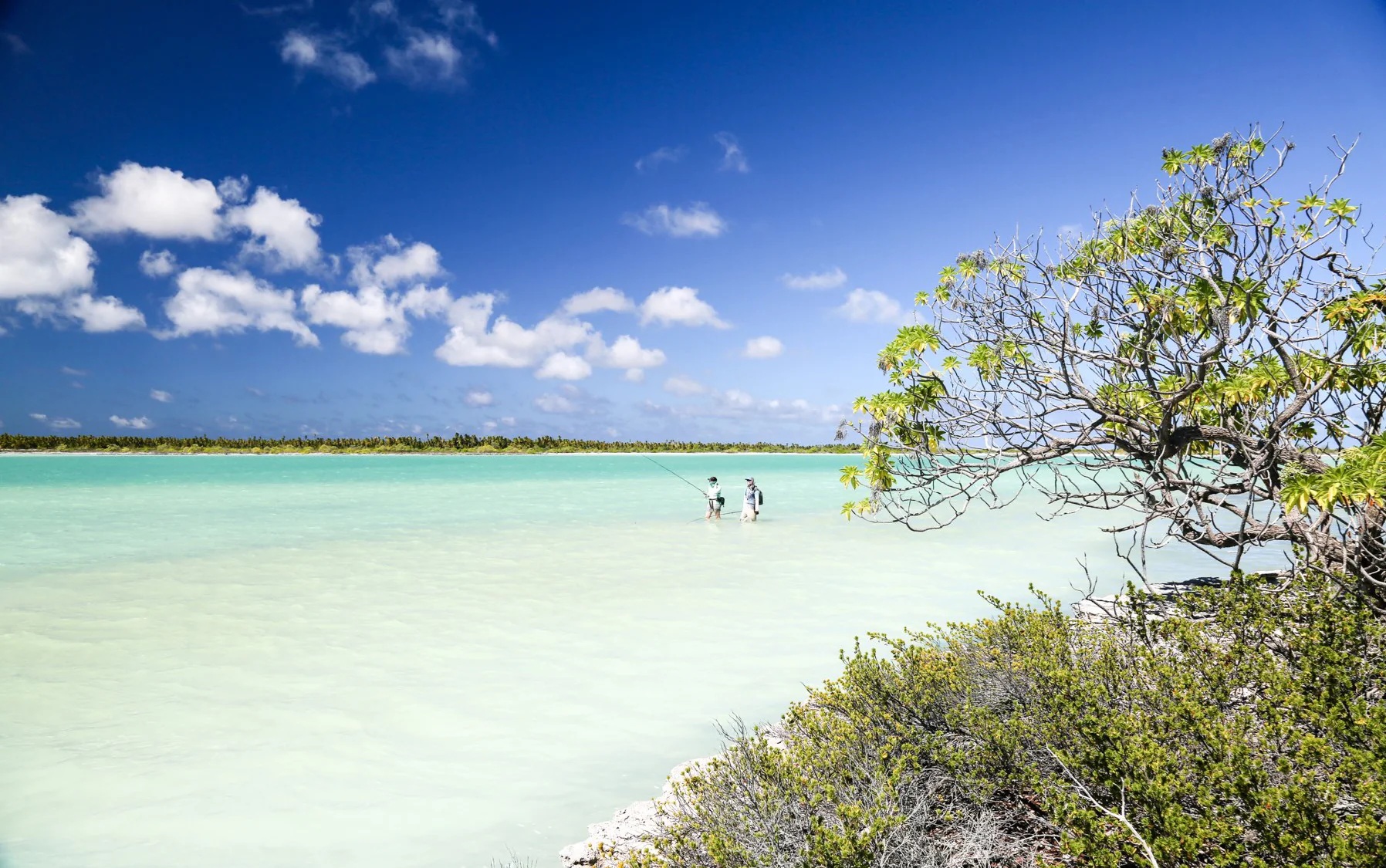 Nơi đầu ti&ecirc;n tr&ecirc;n thế giới đ&atilde; qua mốc 0 giờ năm 2026 - Ảnh 1.