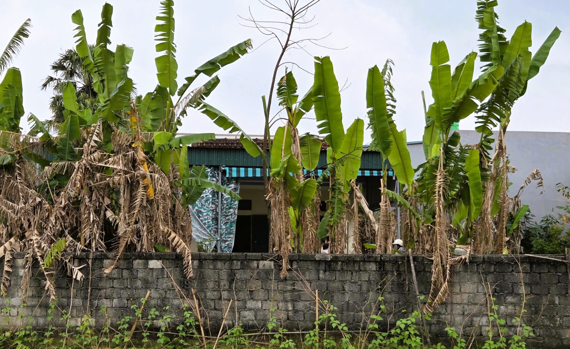 Cuộc hôn nhân sóng gió: Chồng chém chết vợ Ngay ngày ra tòa ly hôn - Ảnh 1. Cuộc hôn nhân sóng gió: Chồng chém chết vợ Ngay ngày ra tòa ly hôn - Ảnh 1.