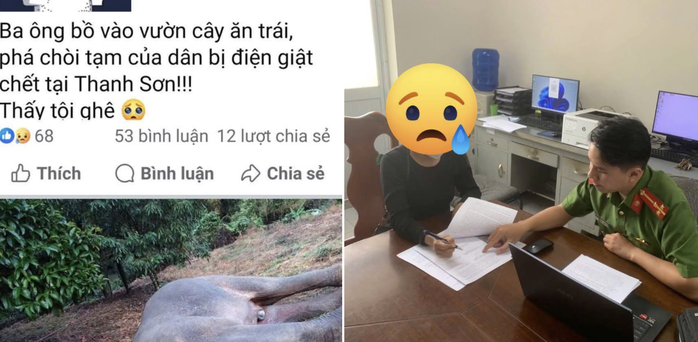 Cái kết của phụ nữ đăng tin giả voi rừng bị điện giật chết ở Đồng Nai - Ảnh 1.