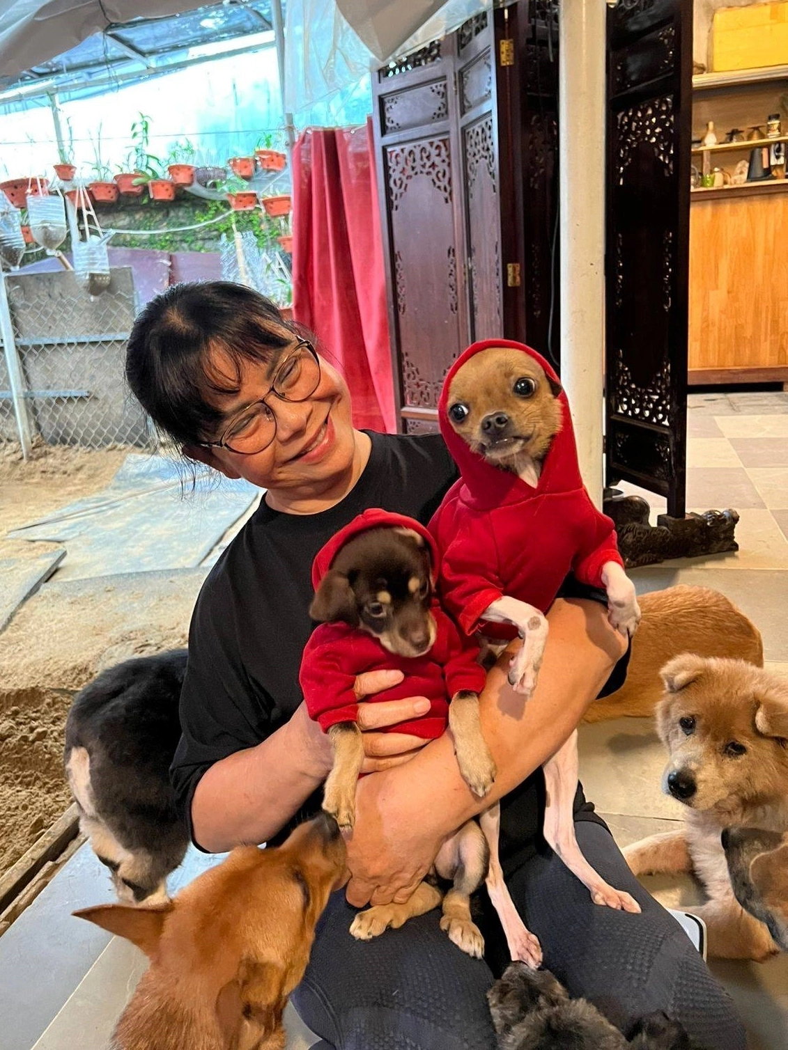 Nữ ca sĩ dùng biệt thự 500 m2 nuôi heo, chó, gà, ngỗng, làm cả sinh nhật cho thú cưng: U70 nhiều bệnh - Ảnh 3. Nữ ca sĩ dùng biệt thự 500 m2 nuôi heo, chó, gà, ngỗng, làm cả sinh nhật cho thú cưng: U70 nhiều bệnh - Ảnh 3.