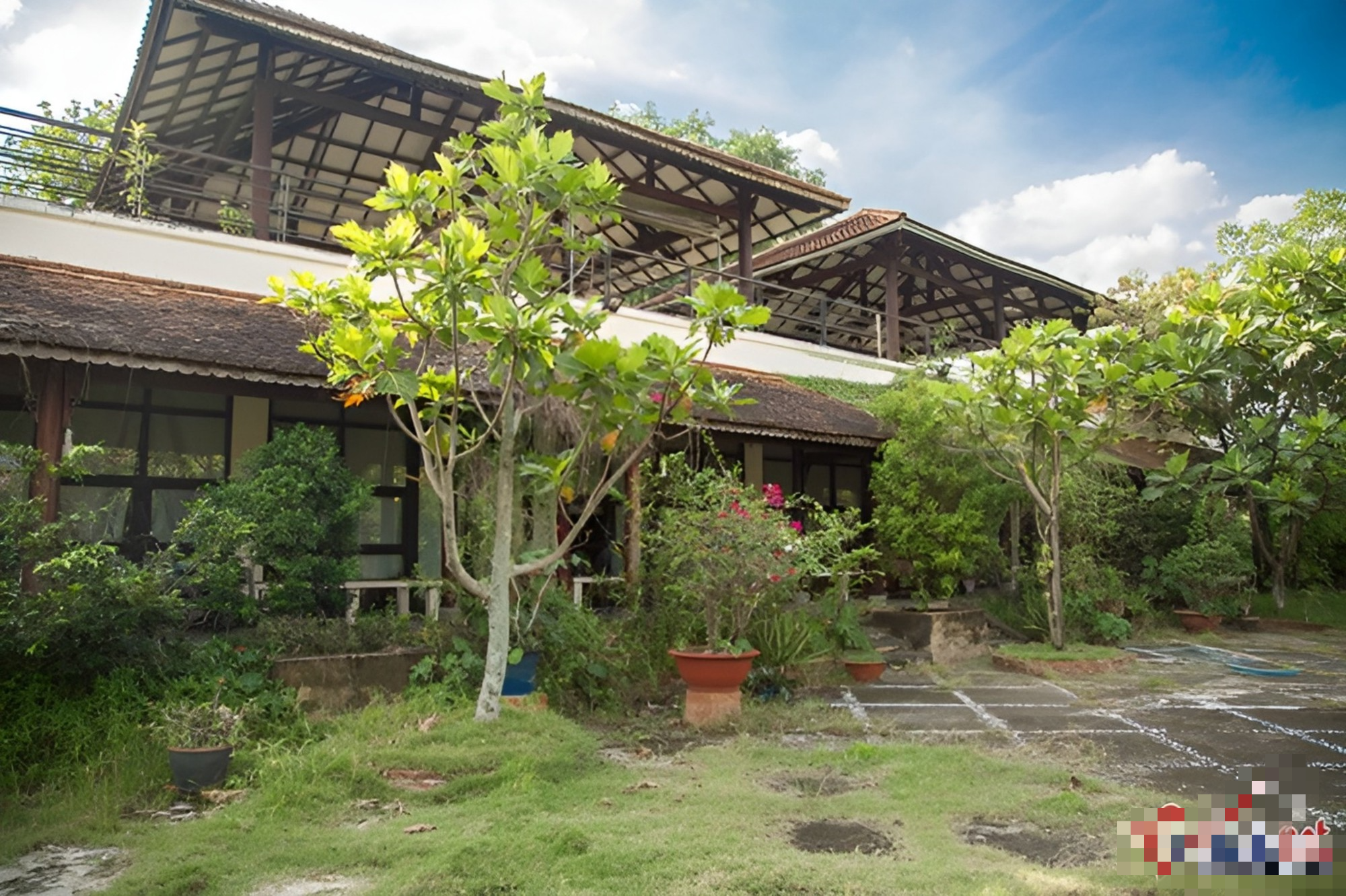 Nữ ca sĩ dùng biệt thự 500 m2 nuôi heo, chó, gà, ngỗng, làm cả sinh nhật cho thú cưng: U70 nhiều bệnh - Ảnh 5. Nữ ca sĩ dùng biệt thự 500 m2 nuôi heo, chó, gà, ngỗng, làm cả sinh nhật cho thú cưng: U70 nhiều bệnh - Ảnh 5.