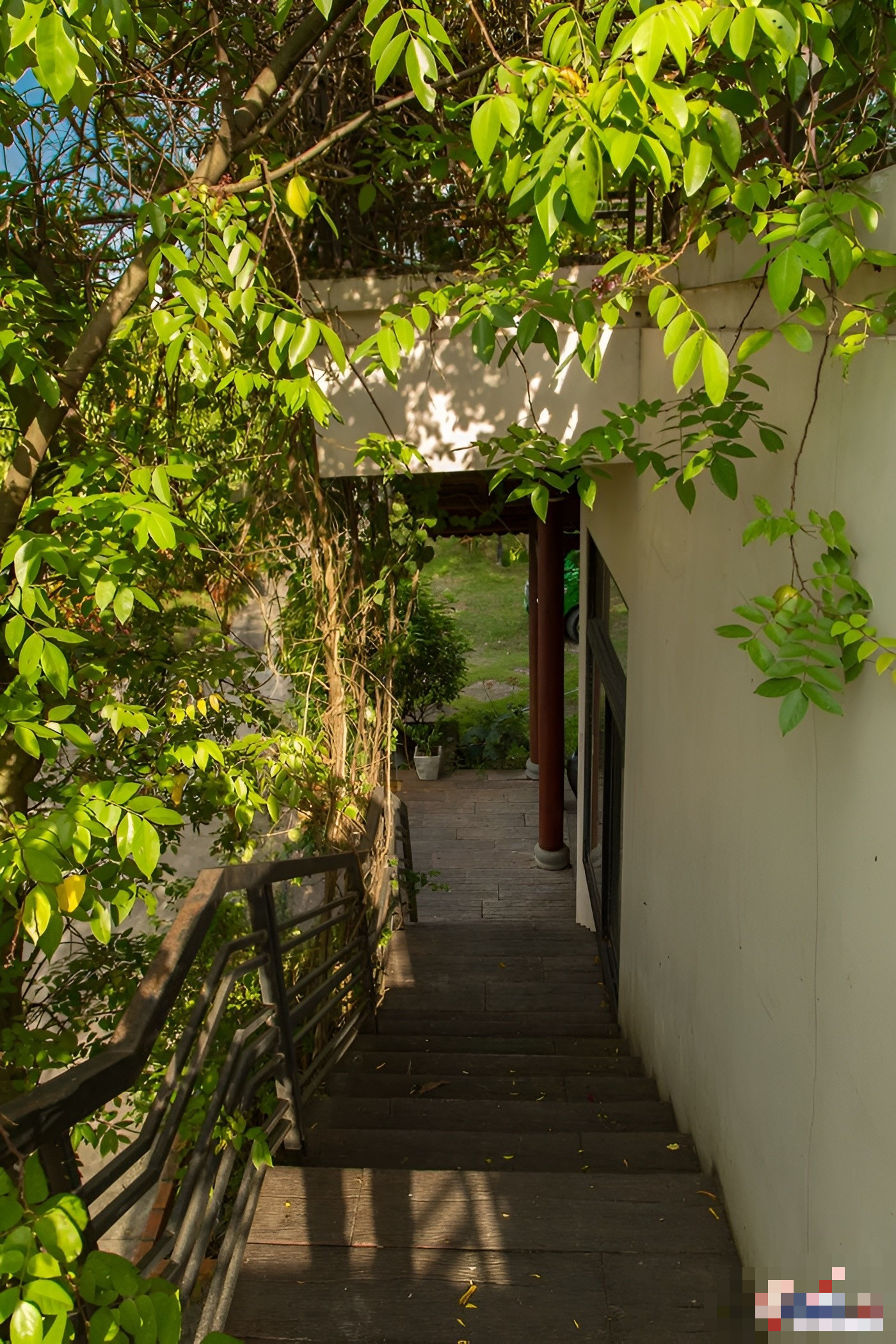 Nữ ca sĩ dùng biệt thự 500 m2 nuôi heo, chó, gà, ngỗng, làm cả sinh nhật cho thú cưng: U70 nhiều bệnh - Ảnh 6. Nữ ca sĩ dùng biệt thự 500 m2 nuôi heo, chó, gà, ngỗng, làm cả sinh nhật cho thú cưng: U70 nhiều bệnh - Ảnh 6.