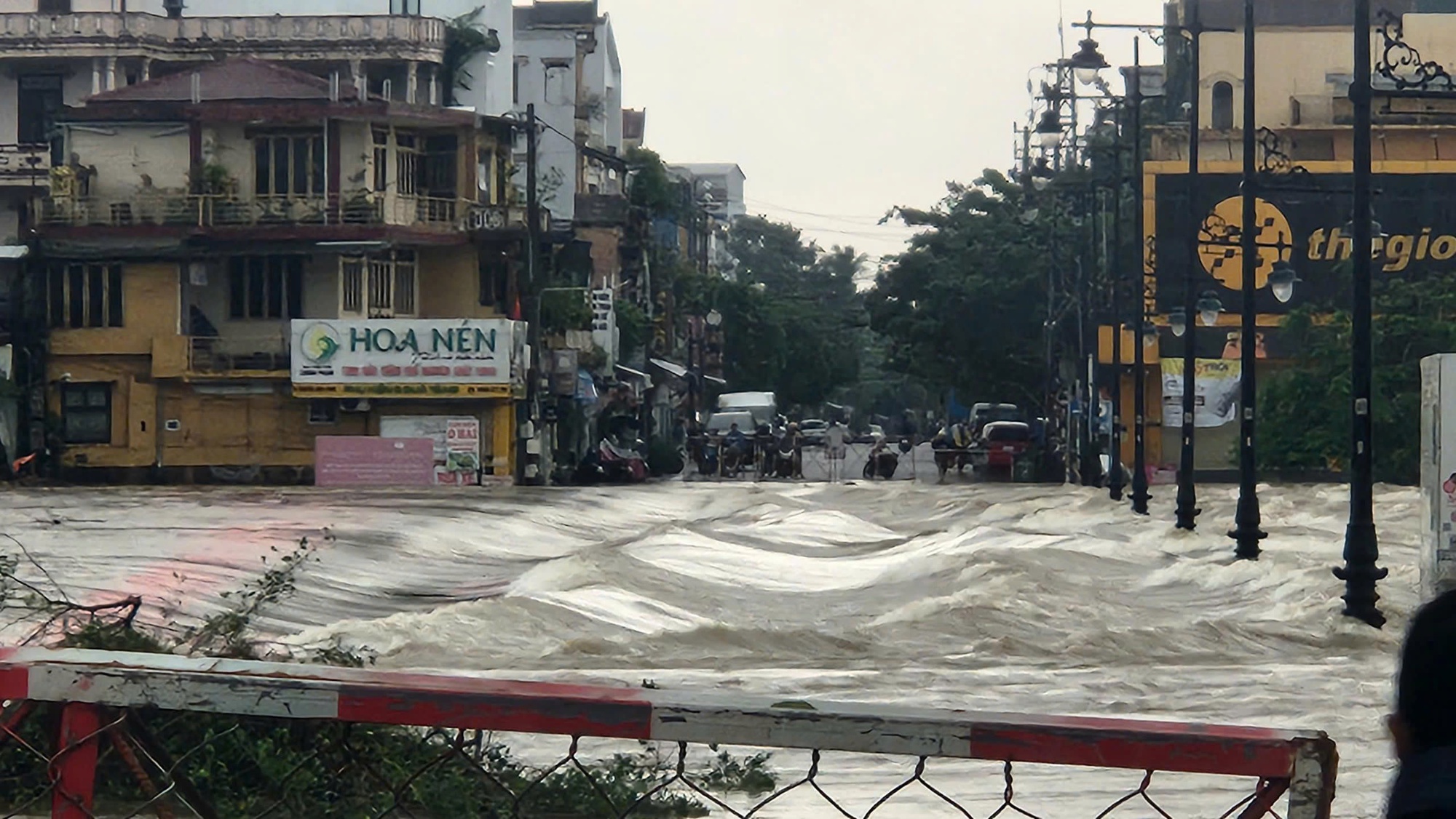 - Ảnh 1. - Ảnh 1.