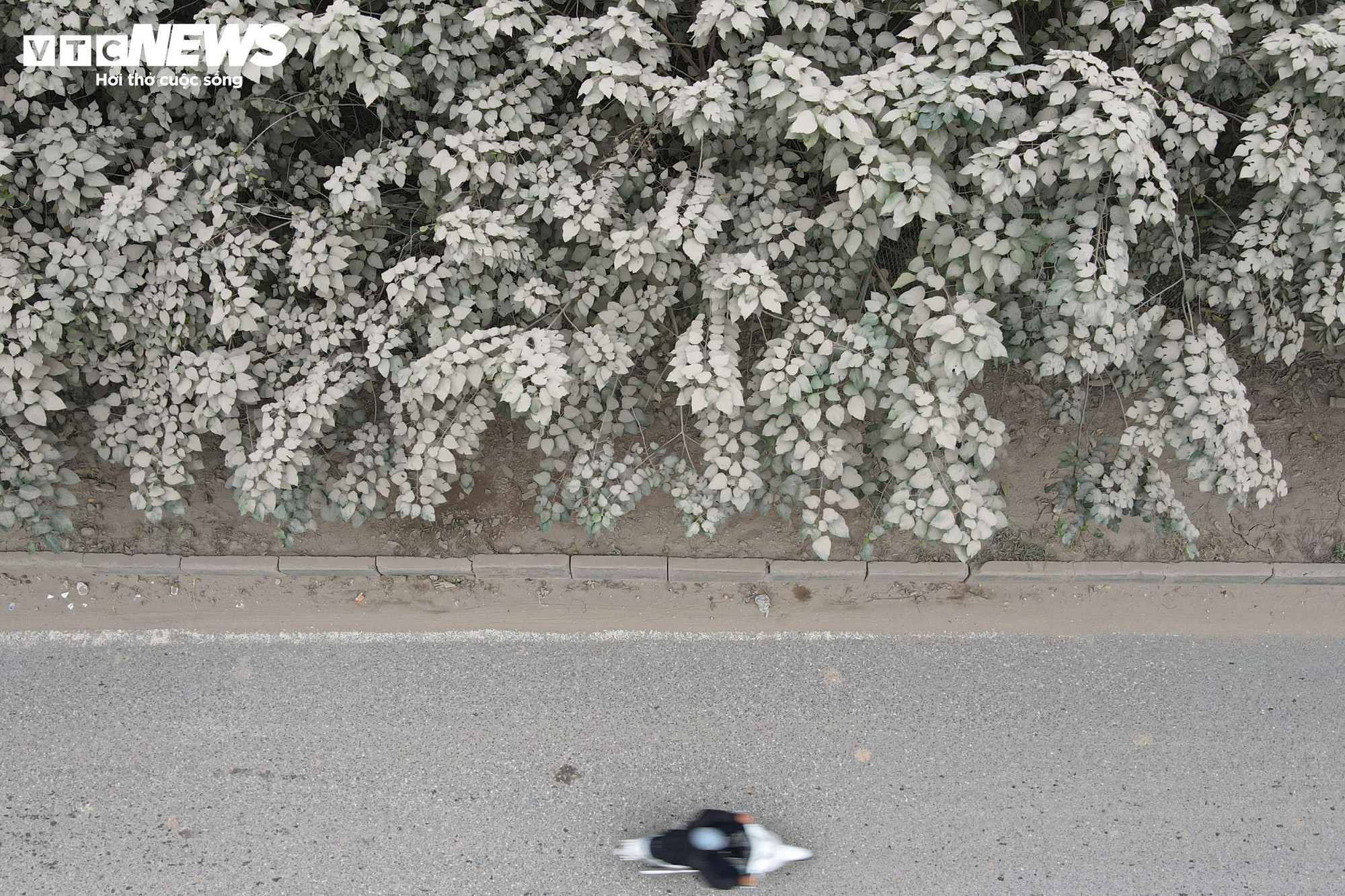 Bão bụi Hà Nội bao phủ đường gom Đại lộ Thăng Long , cây cối trắng xóa - Ảnh 11.