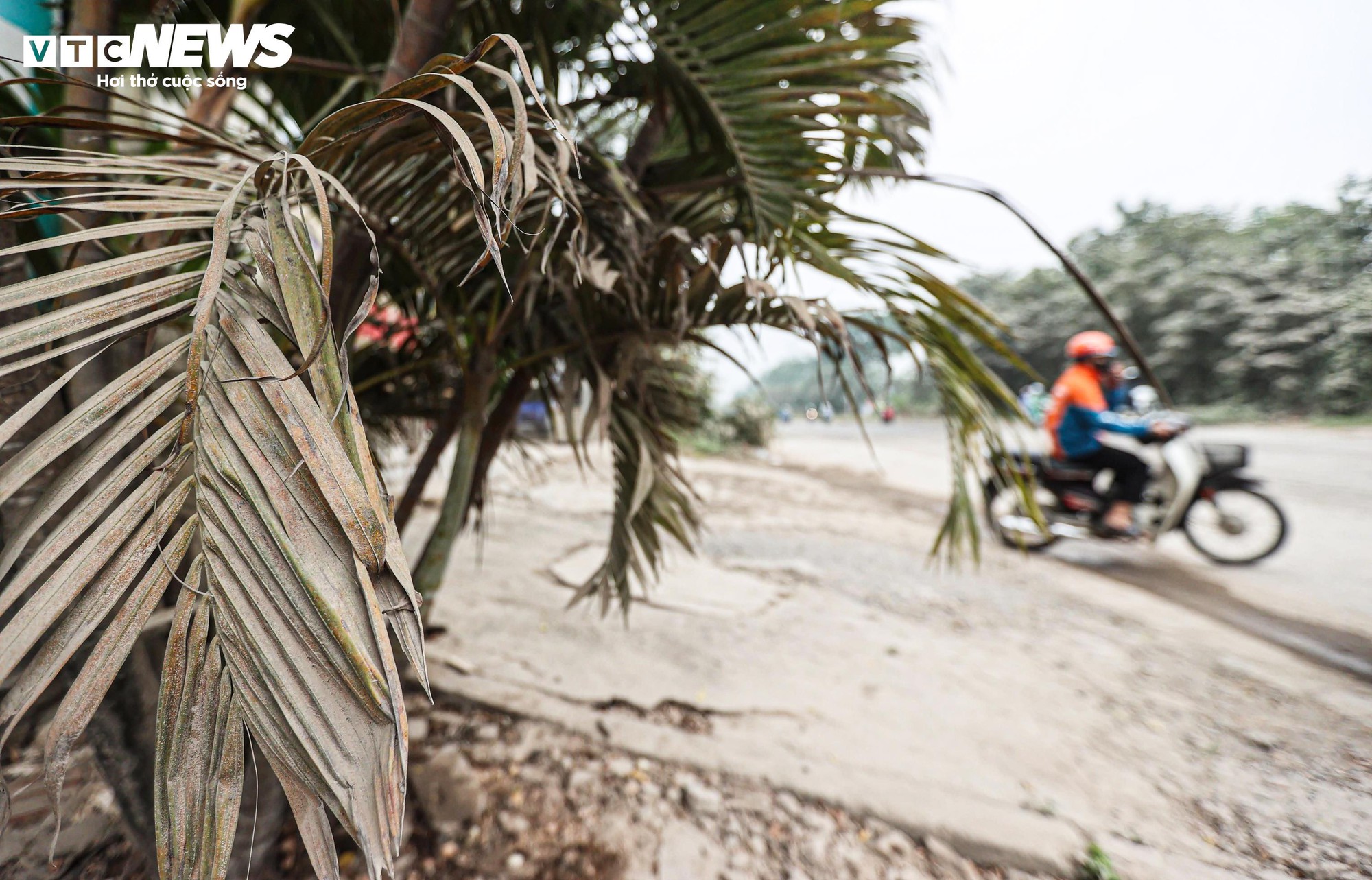 Bão bụi Hà Nội bao phủ đường gom Đại lộ Thăng Long , cây cối trắng xóa - Ảnh 13.