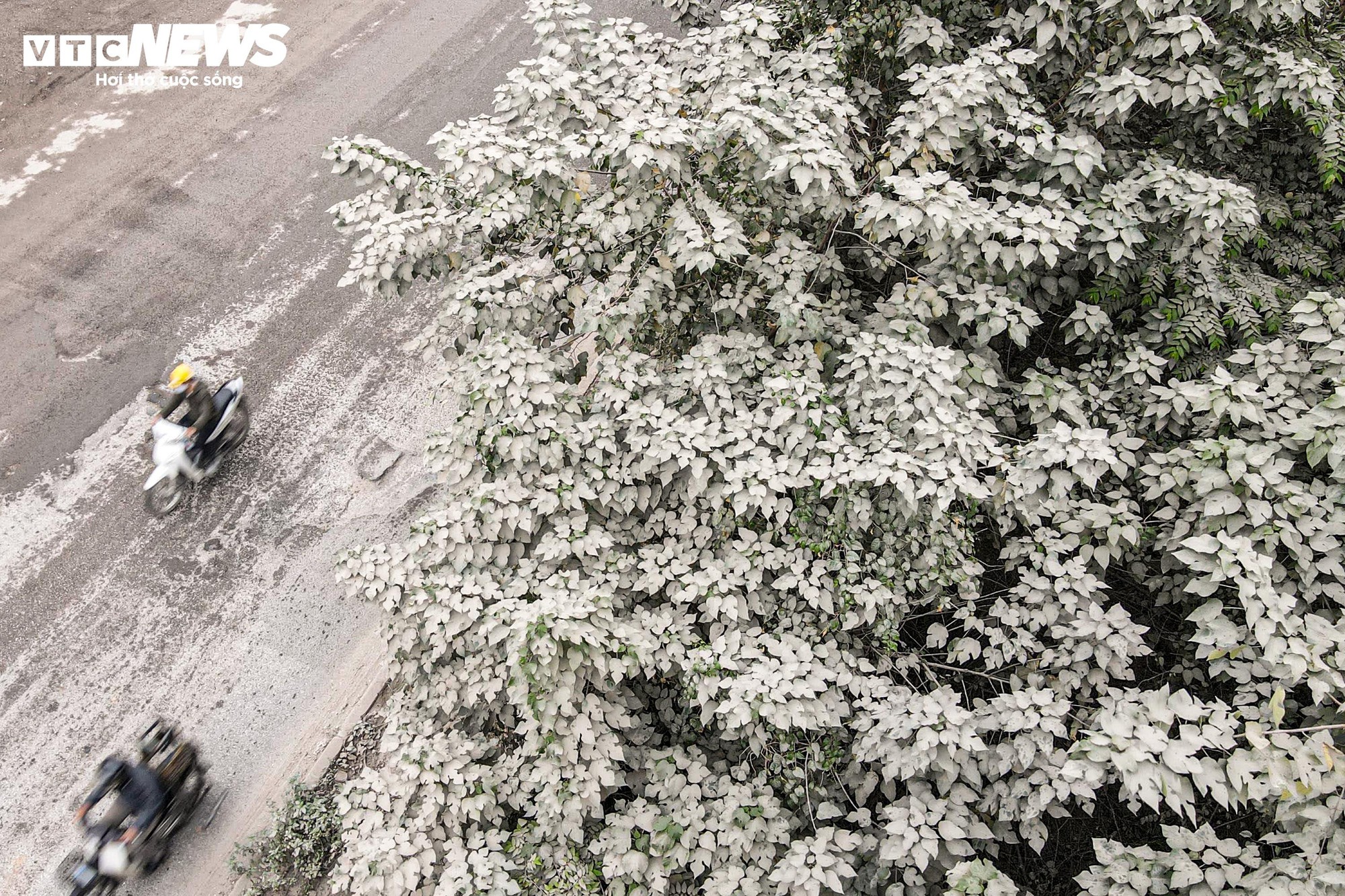 Bão bụi Hà Nội bao phủ đường gom Đại lộ Thăng Long , cây cối trắng xóa - Ảnh 2.