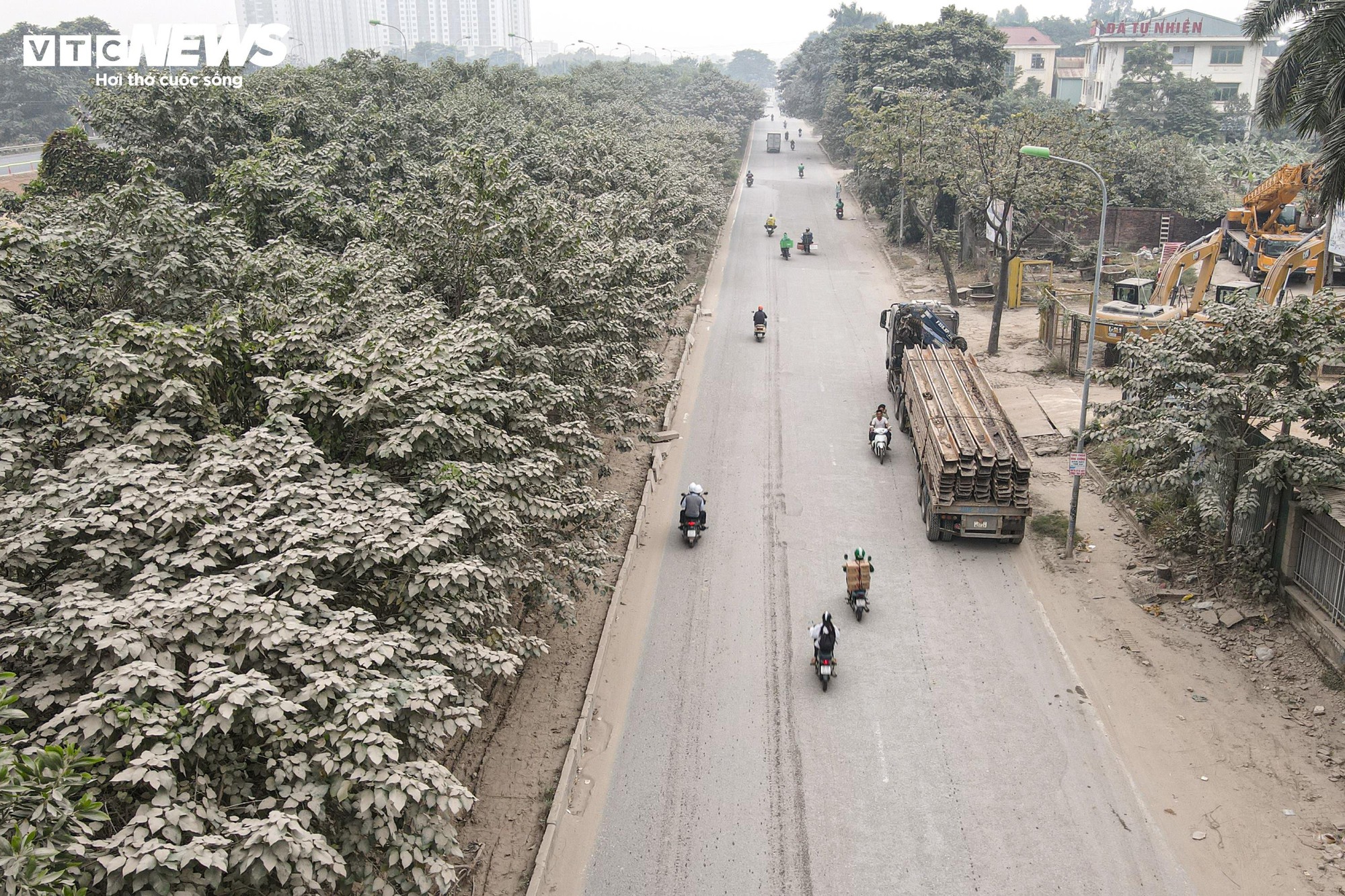Bão bụi Hà Nội bao phủ đường gom Đại lộ Thăng Long , cây cối trắng xóa - Ảnh 5.