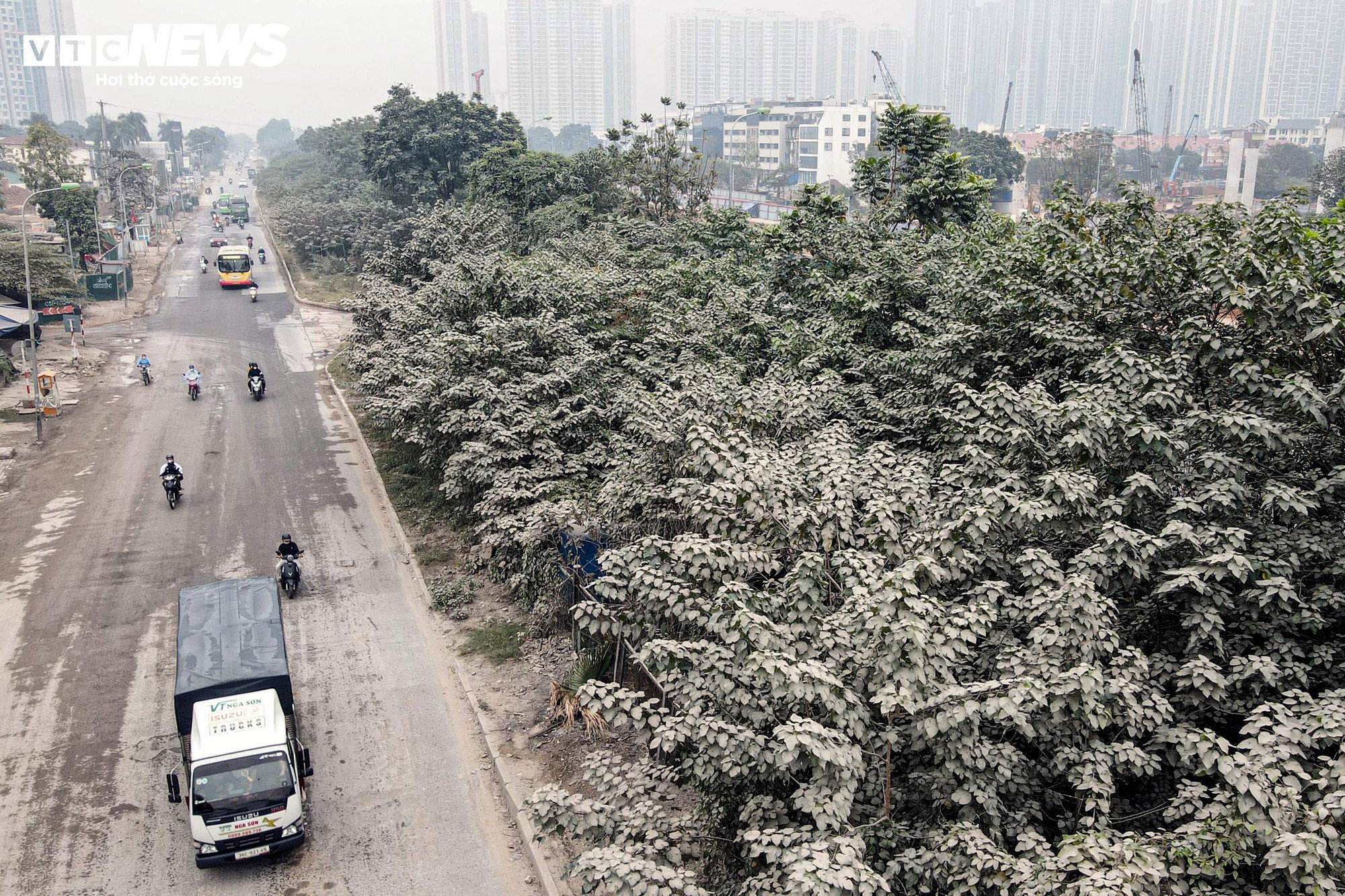 Bão bụi Hà Nội bao phủ đường gom Đại lộ Thăng Long , cây cối trắng xóa - Ảnh 4.