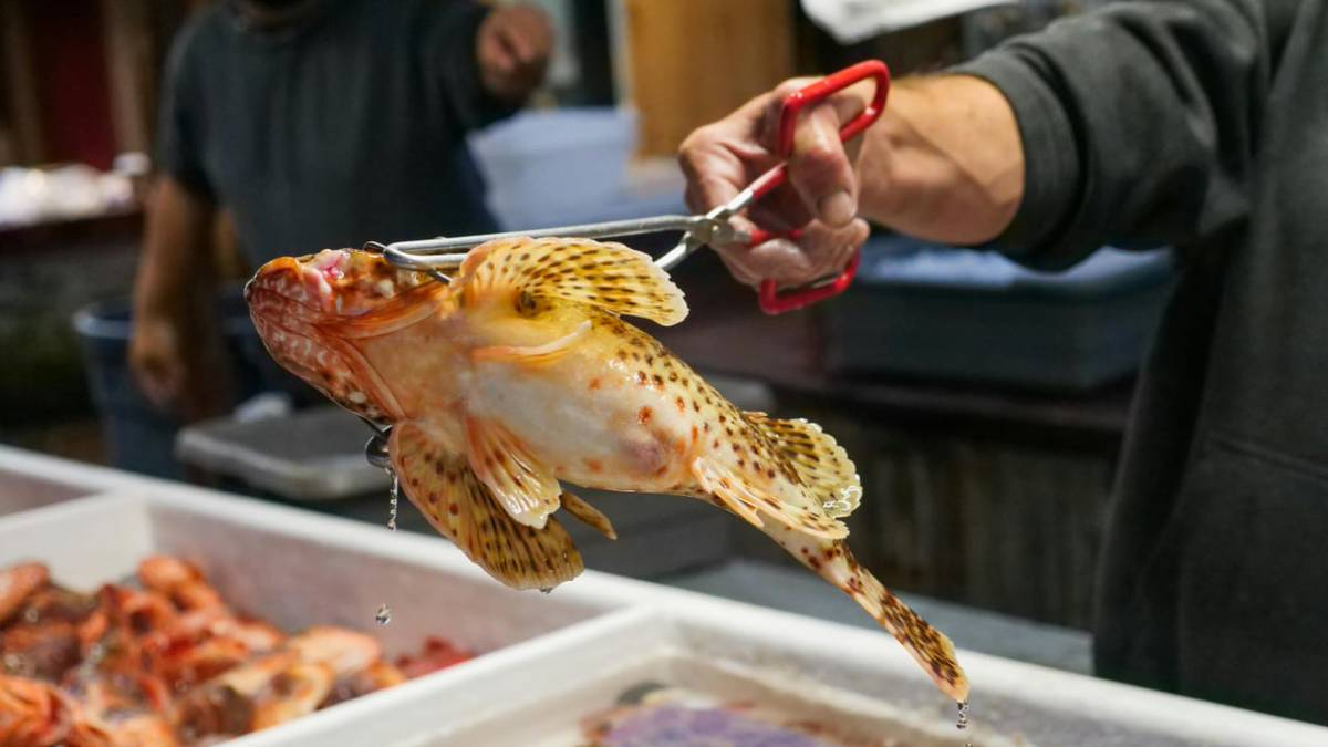 Chàng Trai 25 Tuổi Mắc Ung Thư Gan Vì Thói Quen Ăn Hải Sản Của Nhiều Người- Ảnh 2.