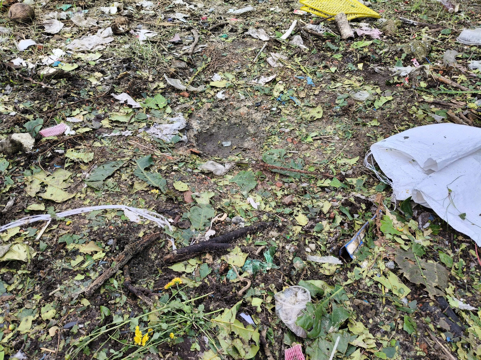 Tổ trưởng dân phố giải thích phát ngôn ghét không cho gạo cứu trợ lũ lụt - Ảnh 1.