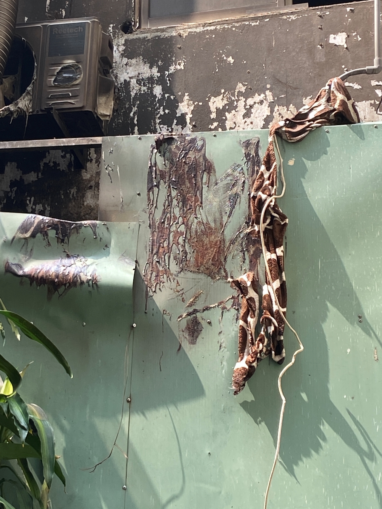 Vụ cháy tp . Hcm: Câu chuyện cảm động của hai cô gái sống sót từ tầng 3 - Ảnh 2.