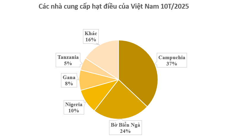 Cứu tinh từ châu Phi đổ bộ giúp Việt Nam xuất khẩu bỏ xa cả thế giới: Nước ta chi hàng tỷ USD mỗi năm để mua hàng, được người Mỹ cực kỳ ưa chuộng - Ảnh 2.