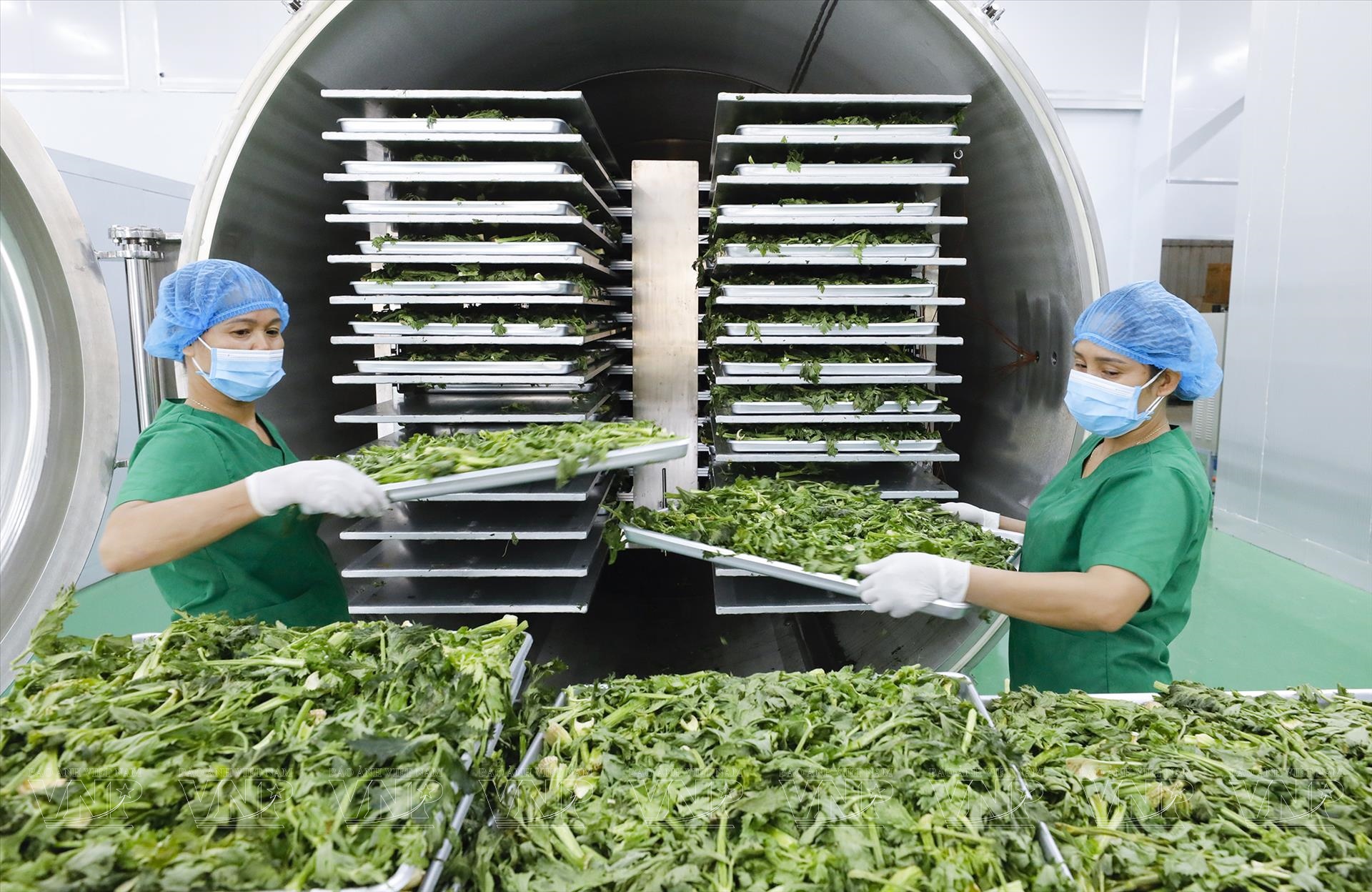 Chế biến sâu: "Chìa khóa vàng" mở lối tăng trưởng tỉ đô cho nông sản Việt - Ảnh 2.