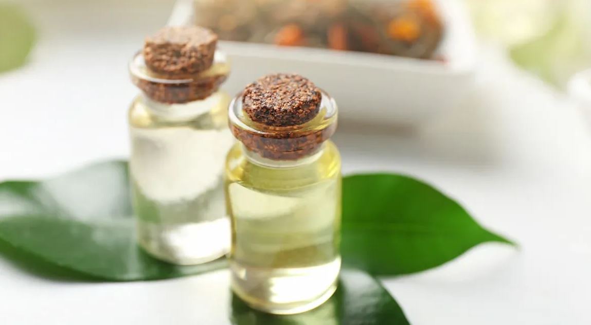 - Ảnh 2. - Ảnh 2.