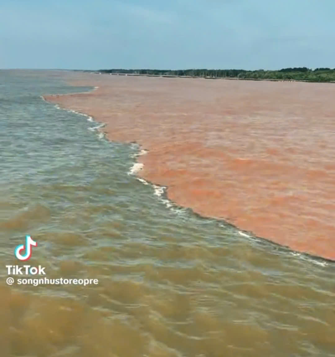 Giải mã hiện tượng 2 màu nước ở ven biển Cà Mau - Ảnh 1.