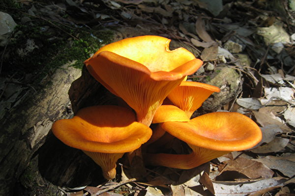 5 1764733642989649275156 132641 1764981197705 1764981197890440680072