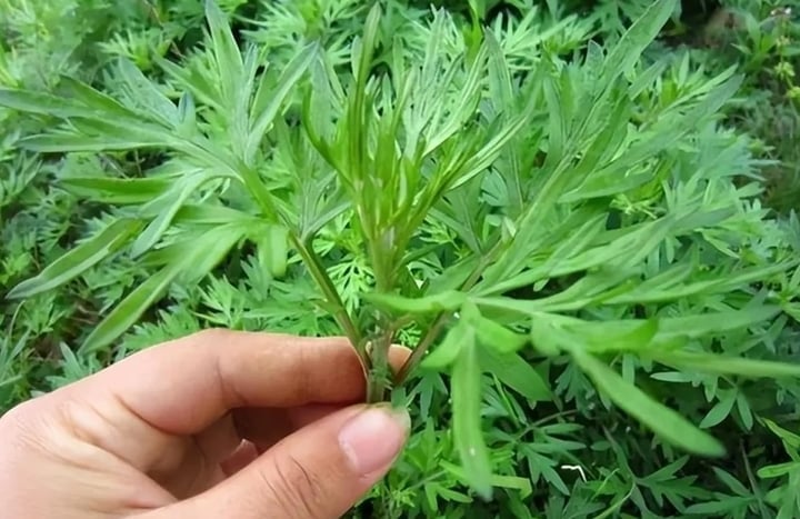 Món bánh cái tên "độc lạ" của Lạng Sơn, du khách nhận xét: Tưởng khó ăn nhưng ngon không tưởng! - Ảnh 2.