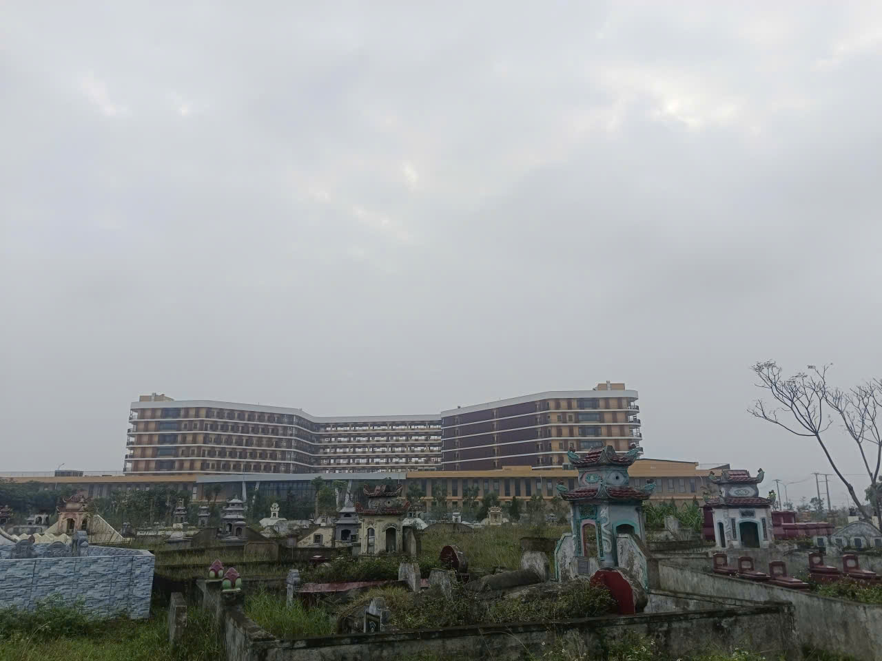 - Ảnh 2. - Ảnh 2.