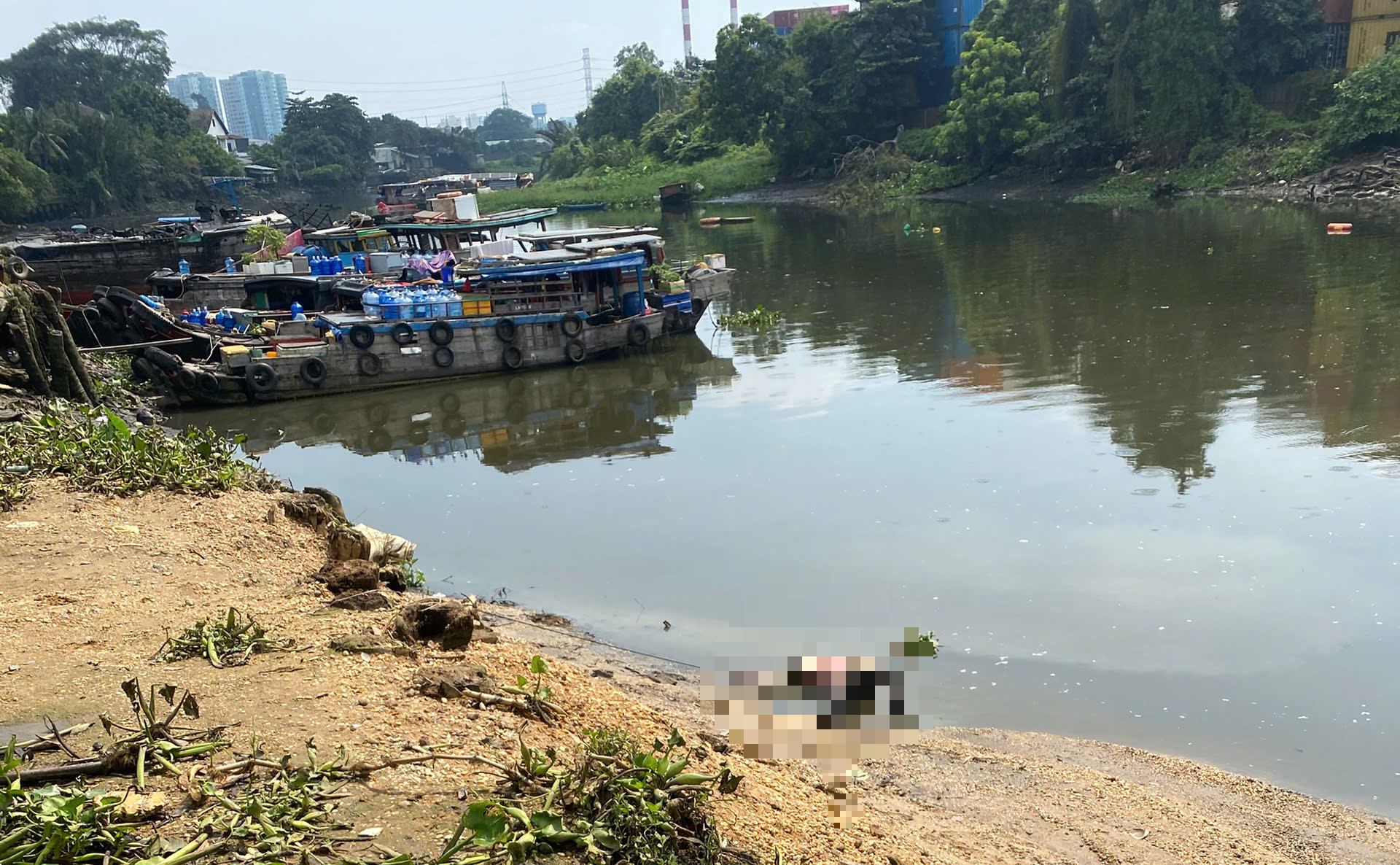 - Ảnh 1. - Ảnh 1.