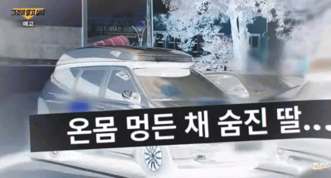 - Ảnh 3. - Ảnh 3.