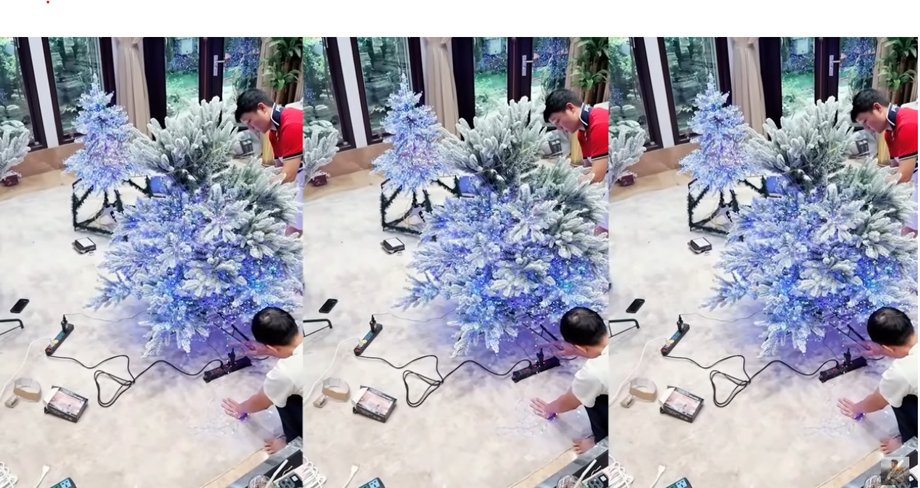 Đàm Vĩnh Hưng làm điều cuối cùng ở biệt thự vừa bán, được chủ cho ở nhờ đến hết Tết Nguyên đán- Ảnh 7.