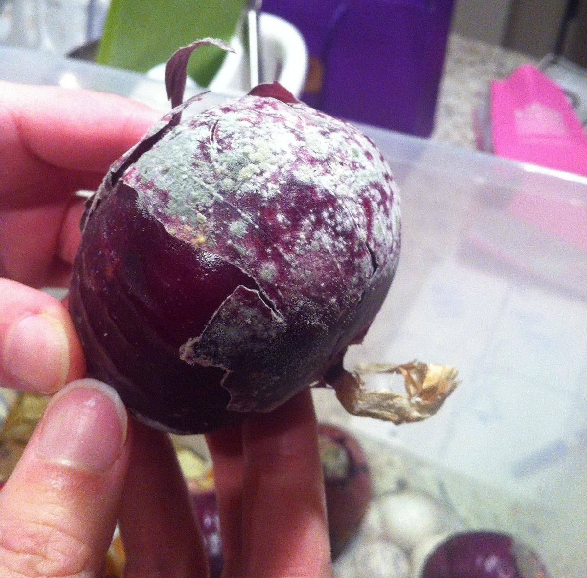 Cả nhà ung thư, bệnh tật nếu còn chưa bỏ 6 thói quen ai cũng tưởng sạch sẽ, tiết kiệm này! - Ảnh 1.