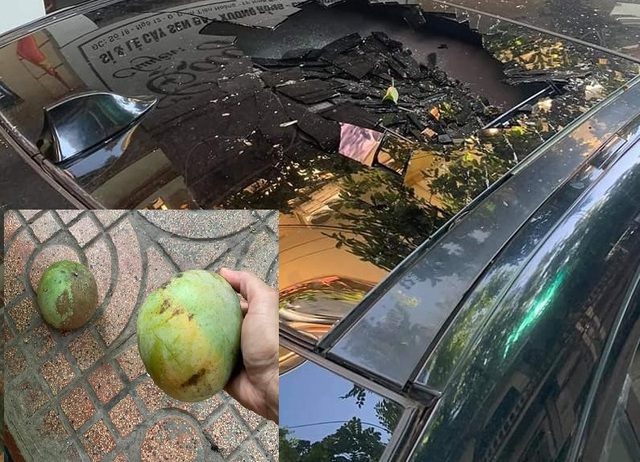 Quả xoài "tai tiếng" nhất Việt Nam: Khiến một nữ đại gia tốn cả trăm triệu vẫn chỉ biết "im lặng chịu trận"- Ảnh 4.