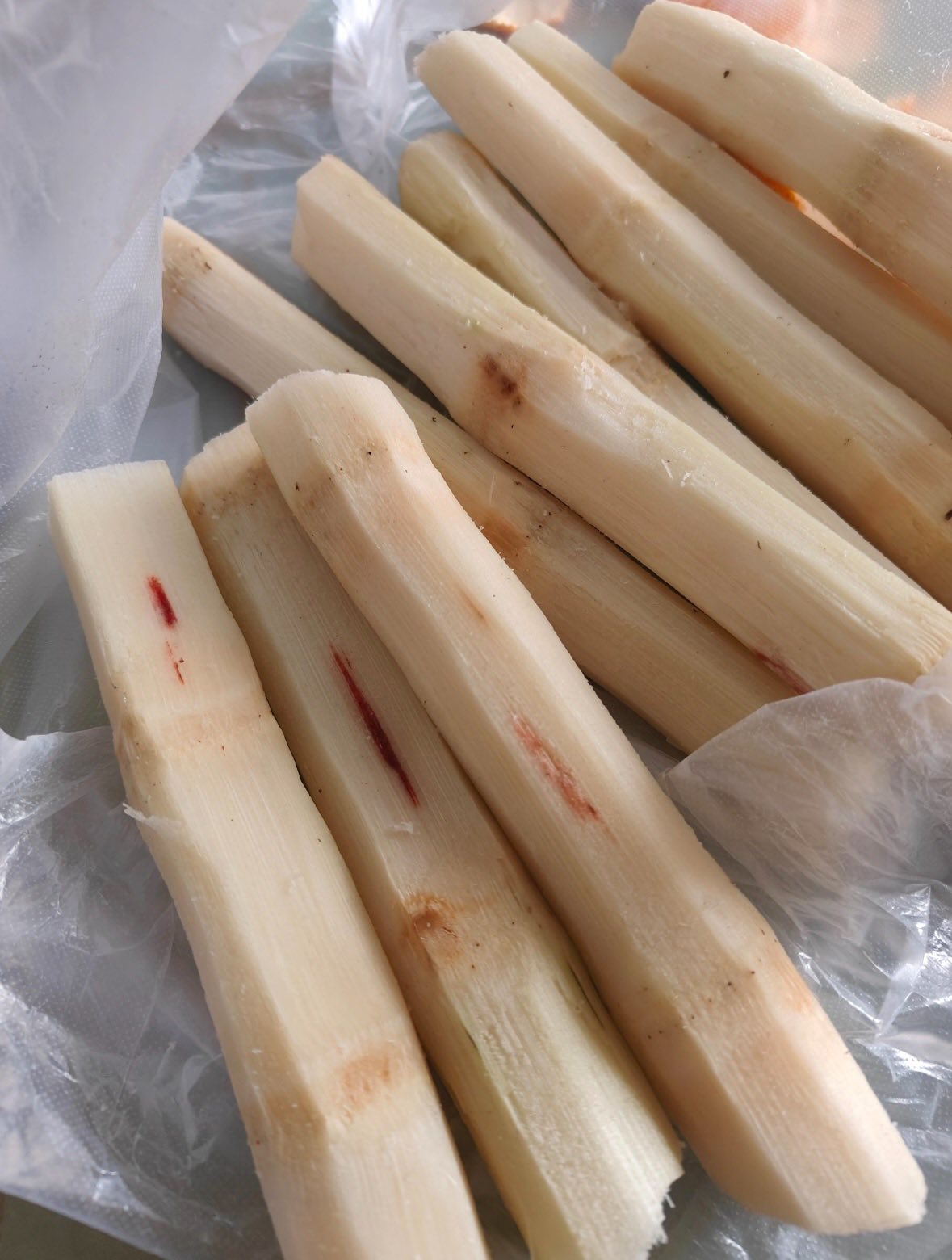 - Ảnh 1. - Ảnh 1.