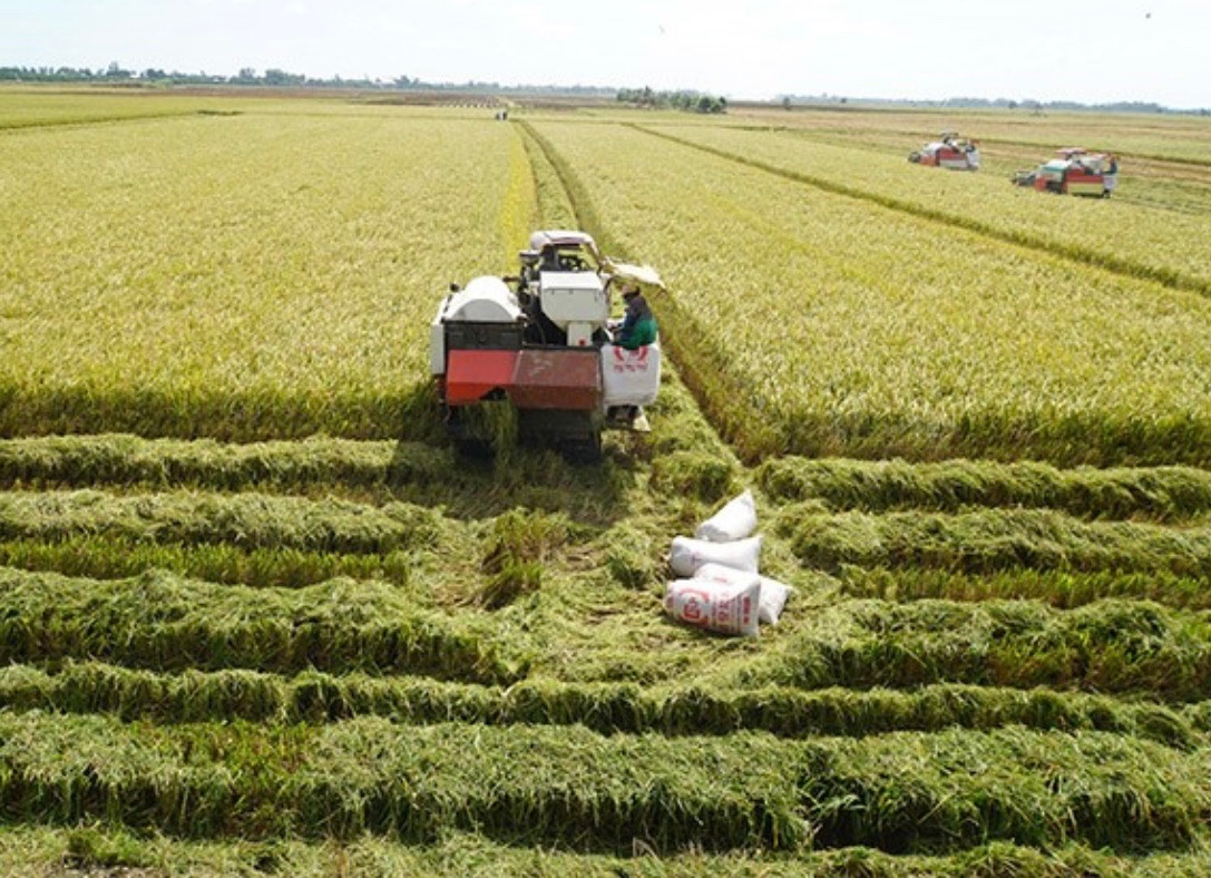 "Báu vật dưới nước" sẽ mang về hơn 11 tỷ USD cho Việt Nam, phá vỡ mọi kỷ lục từ trước tới nay - Ảnh 3.