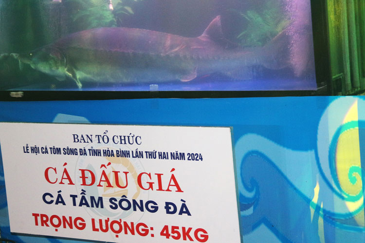 - Ảnh 1. - Ảnh 1.