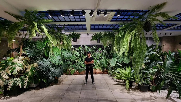 - Ảnh 8. - Ảnh 8.