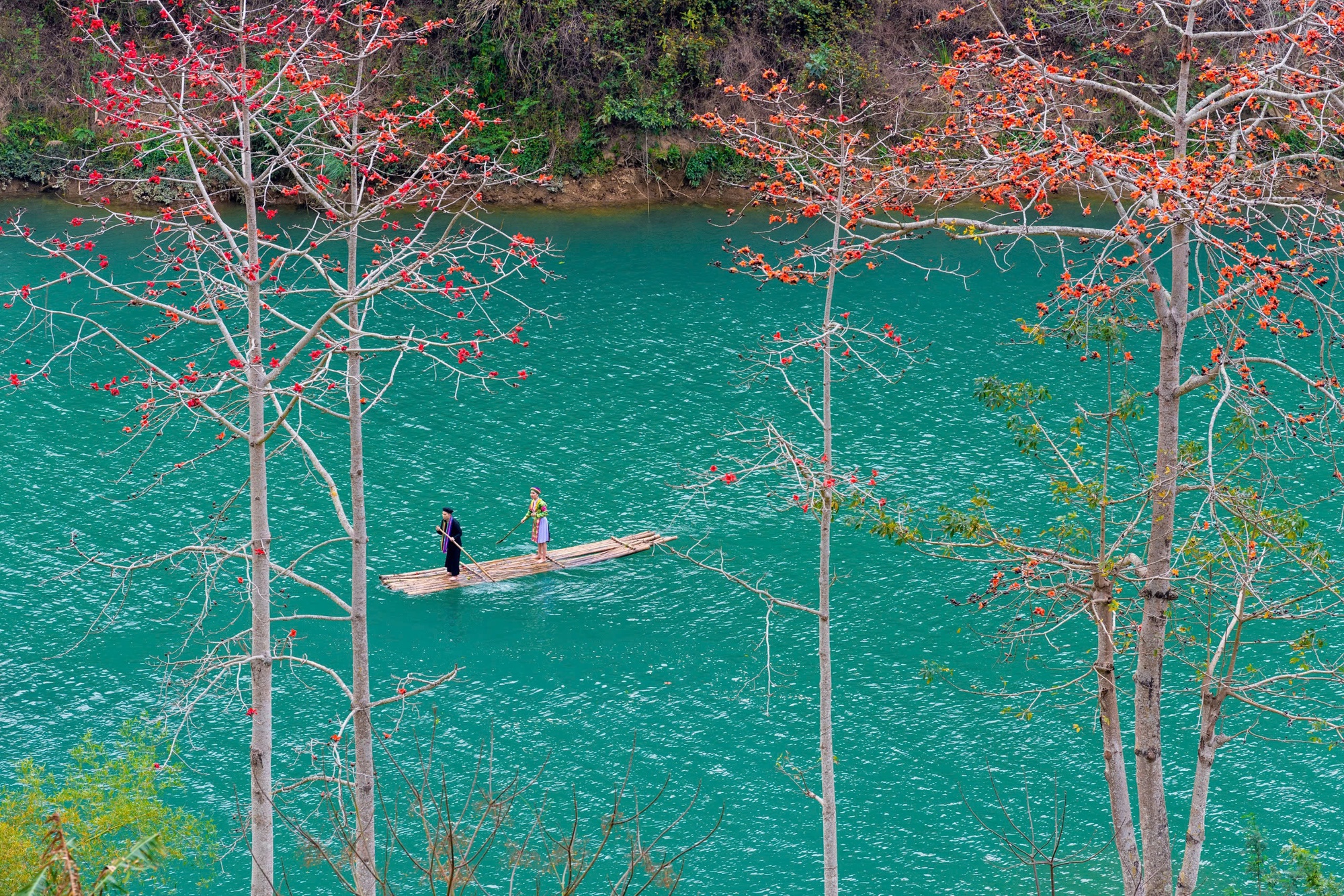 - Ảnh 3. - Ảnh 3.