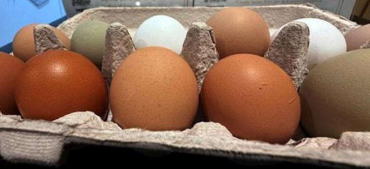 Trứng gà màu trắng và màu nâu: Lọai nào tốt hơn cho sức khỏe? - Ảnh 2.