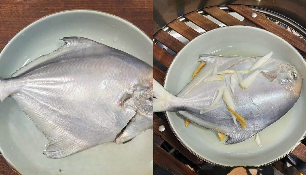 4 Loại Cá Ngon Nhất Lúc Này Dùng Nấu 4 Món Ăn Cực Thỏa Mãn Vị Giác Lại Tốt Để Bồi Bổ Sức Khỏe- Ảnh 16. 4 Loại Cá Ngon Nhất Lúc Này Dùng Nấu 4 Món Ăn Cực Thỏa Mãn Vị Giác Lại Tốt Để Bồi Bổ Sức Khỏe- Ảnh 16.