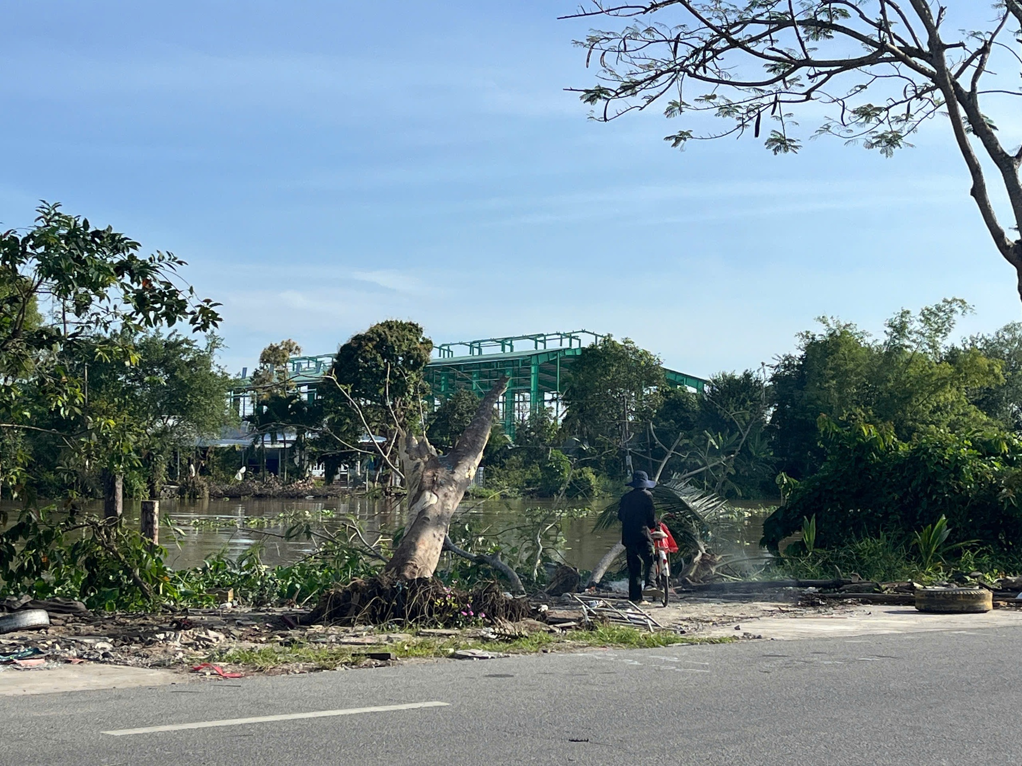 Diễn biến mới vụ tai nạn xe giường nằm tông chết 2 người ở Đồng Tháp - Ảnh 1.