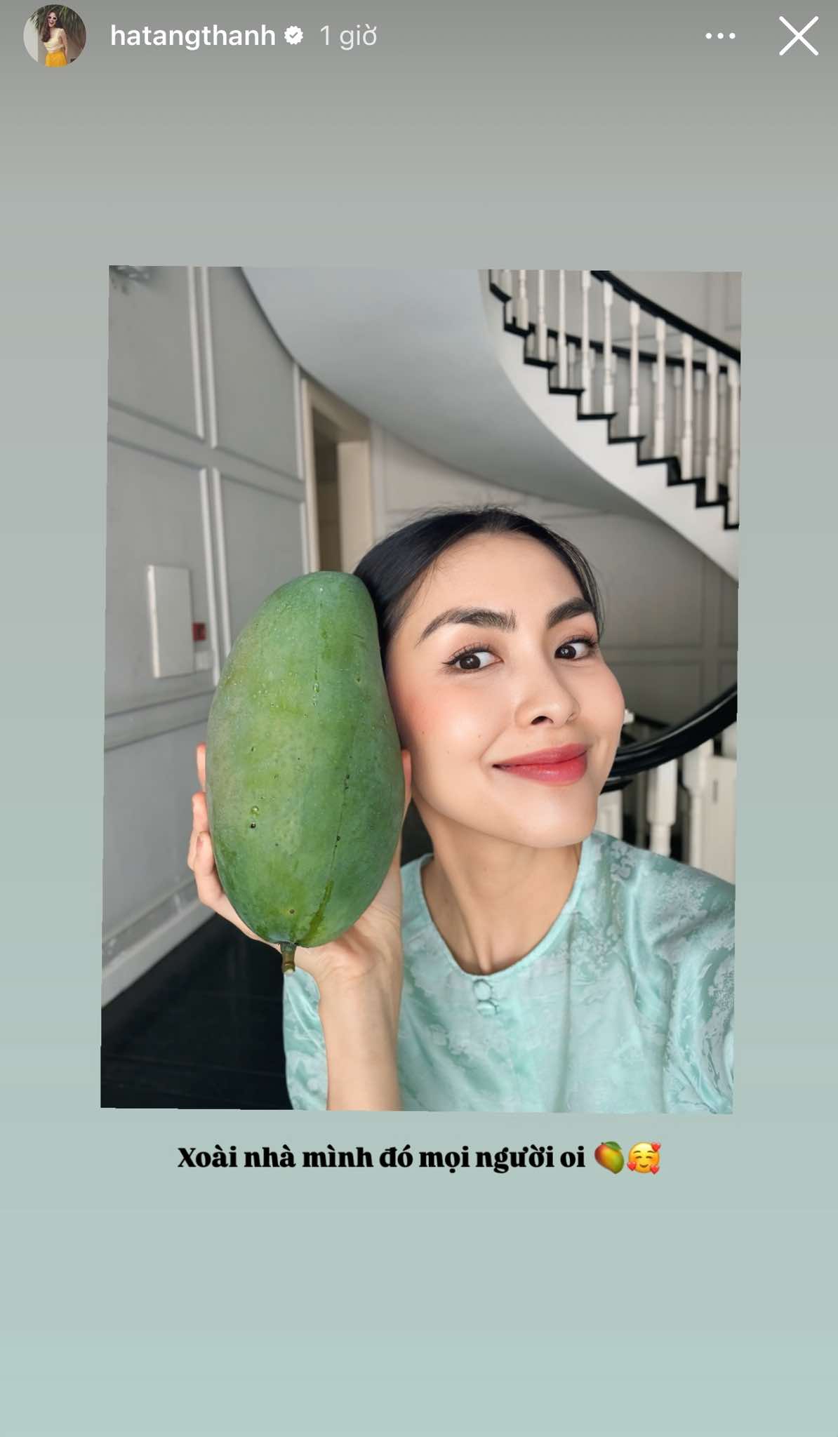 Tết của hội mỹ nh&acirc;n đ&igrave;nh đ&aacute;m: Mai Ngọc "xả ảnh" năm đầu l&agrave;m d&acirc;u, H&agrave; Tăng đảm đang kh&oacute; ai vượt mặt - Ảnh 13.