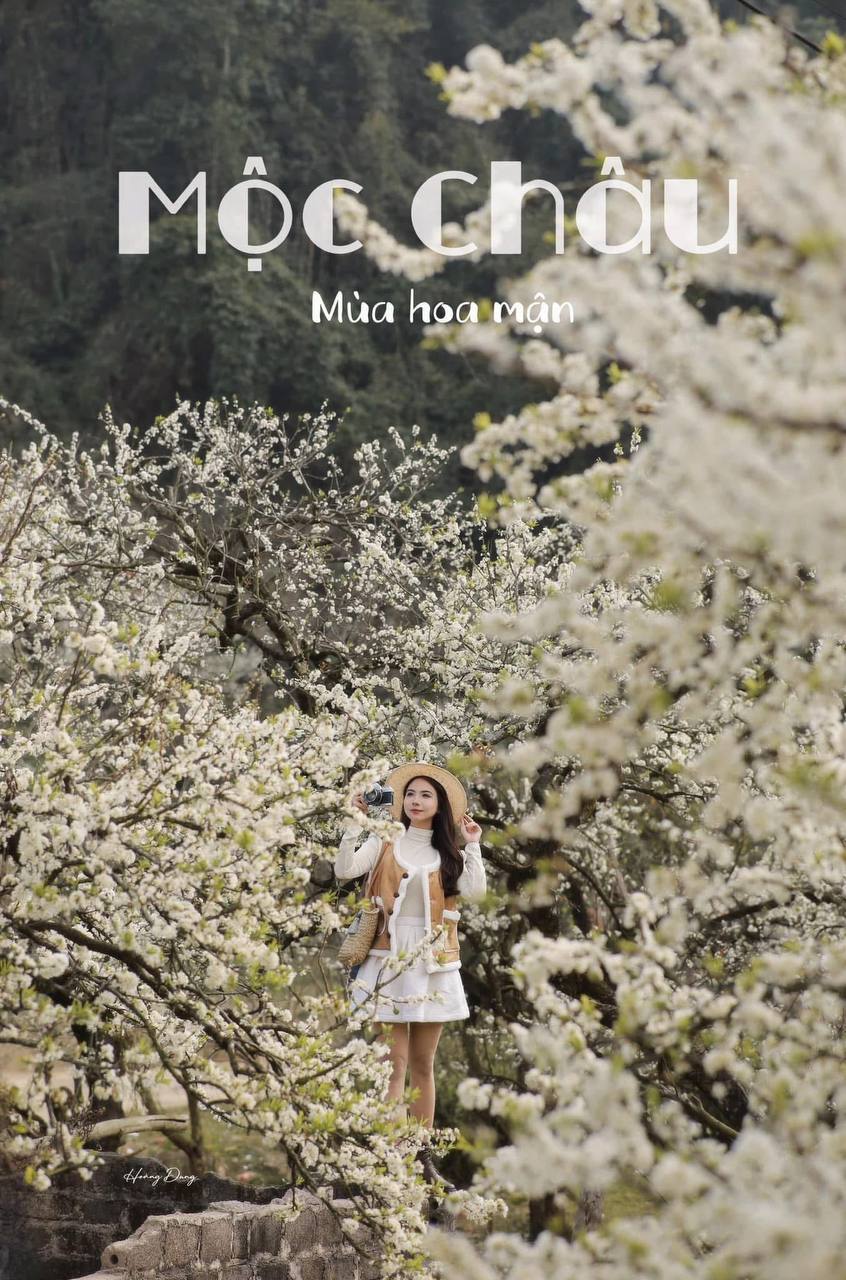 Đi gần 10 tiếng để săn hoa mận ở Mộc Châu: Ăn ngủ vạ vật, tắc dài hàng giờ nhưng thành quả quá xứng đáng!- Ảnh 1. Đi gần 10 tiếng để săn hoa mận ở Mộc Châu: Ăn ngủ vạ vật, tắc dài hàng giờ nhưng thành quả quá xứng đáng!- Ảnh 1.