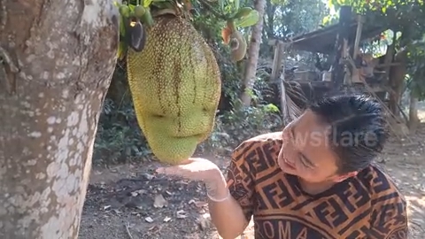 Quả m&iacute;t c&oacute; h&igrave;nh th&ugrave; "lạ", người d&acirc;n nườm nượp k&eacute;o đến chụp ảnh, thắp hương- Ảnh 2.