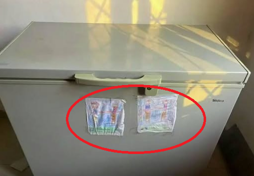 Phát hiện "tổ ong" mà ông nội để lại, chàng trai tìm được 1 thứ kho báu bên trong, bỗng thành người sung sướng nhất vùng - Ảnh 4.