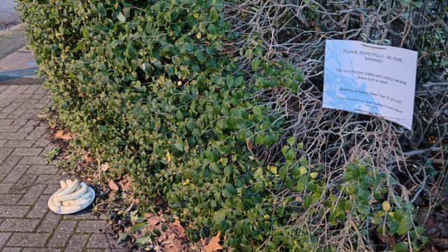 Đĩa chuối lột vỏ b&iacute; ẩn b&ecirc;n lề đường xuất hiện đ&uacute;ng đ&ecirc;m m&ugrave;ng 1 h&agrave;ng th&aacute;ng g&acirc;y hoang mang tột độ- Ảnh 3.