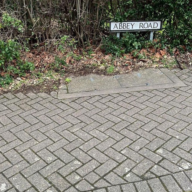 Đĩa chuối lột vỏ b&iacute; ẩn b&ecirc;n lề đường xuất hiện đ&uacute;ng đ&ecirc;m m&ugrave;ng 1 h&agrave;ng th&aacute;ng g&acirc;y hoang mang tột độ- Ảnh 2.