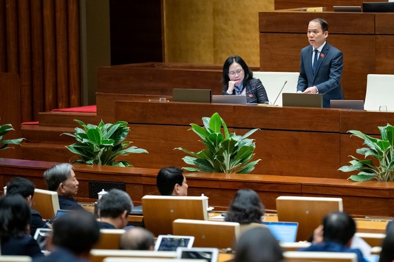 Không nên quy định cứng số lượng và tên ủy ban của Quốc hội? - Ảnh 4.