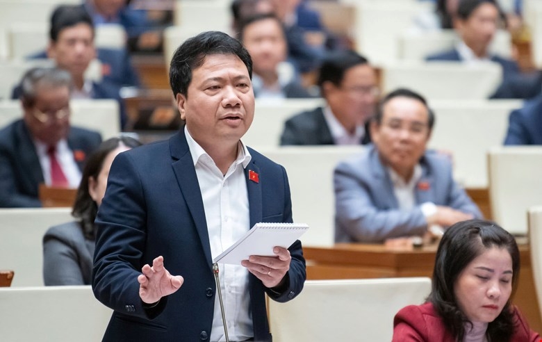 Không nên quy định cứng số lượng và tên ủy ban của Quốc hội? - Ảnh 2.