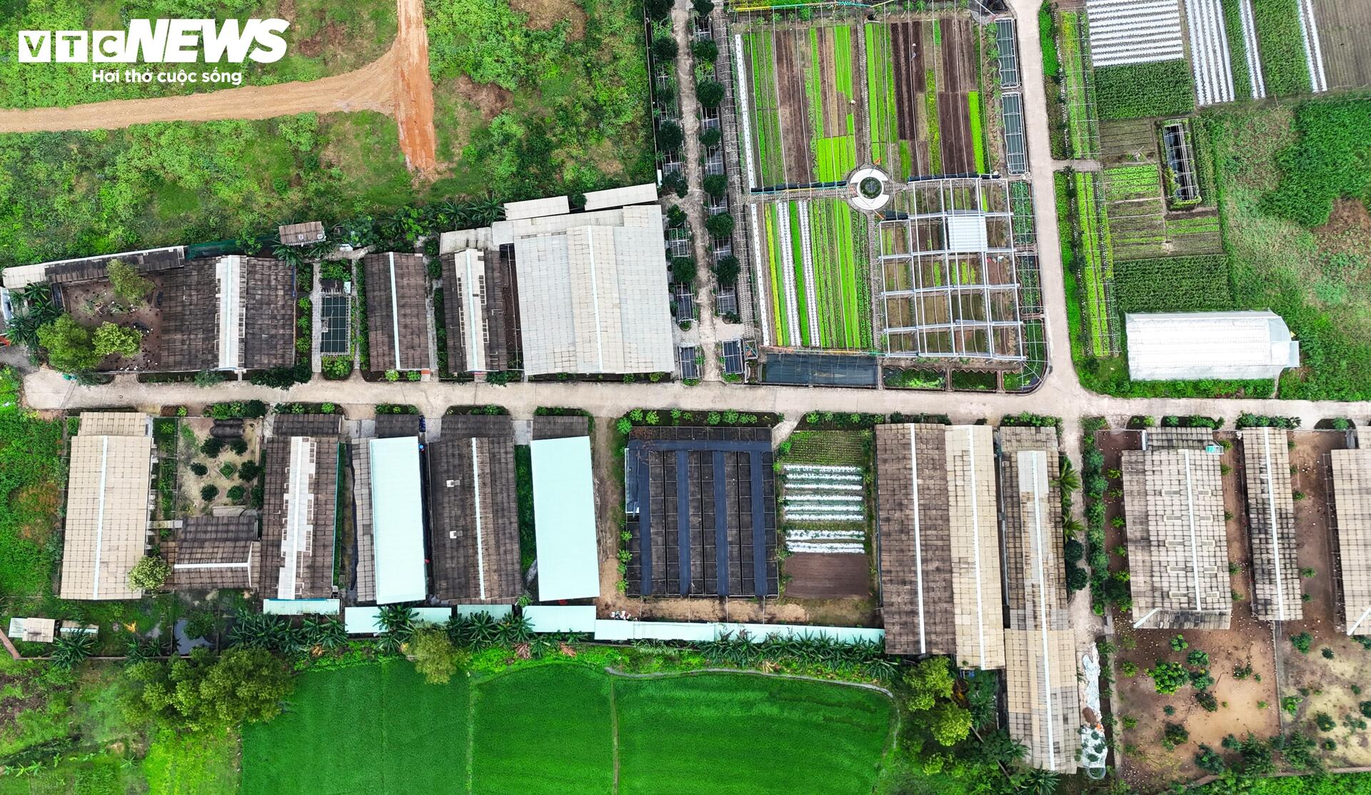 Dự án rau an toàn tại Bình Định: Sai phạm nghiêm trọng và những hoạt động trái phép - Ảnh 3.